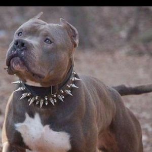 Meet your Posher, Zack